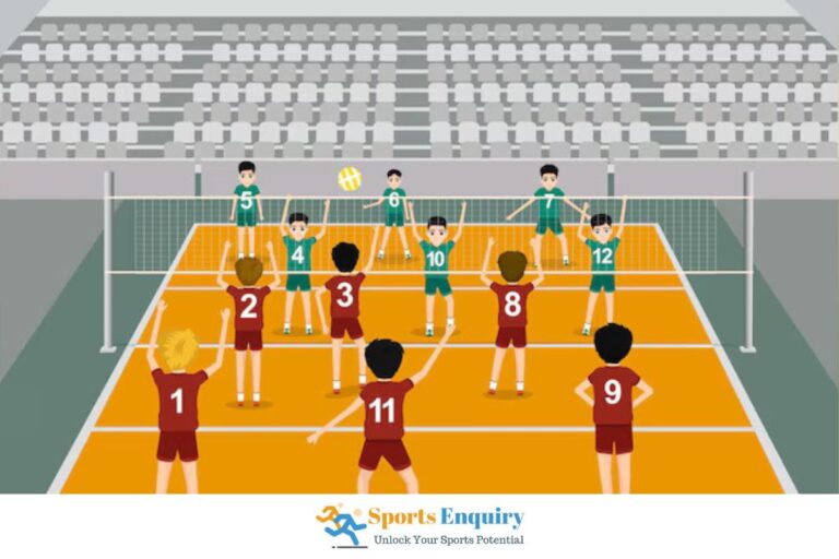 player positions in volleyball